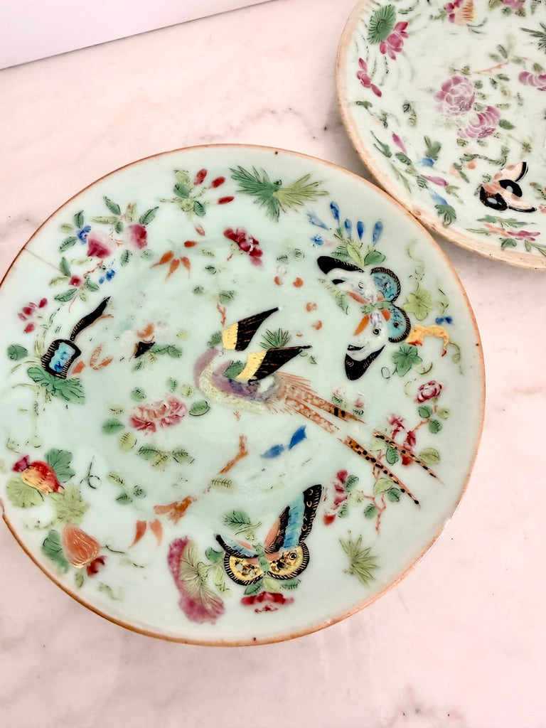 Antique Chinese Export Celadon Famille Rose Plate, Birds & Butterflies, 7.5"