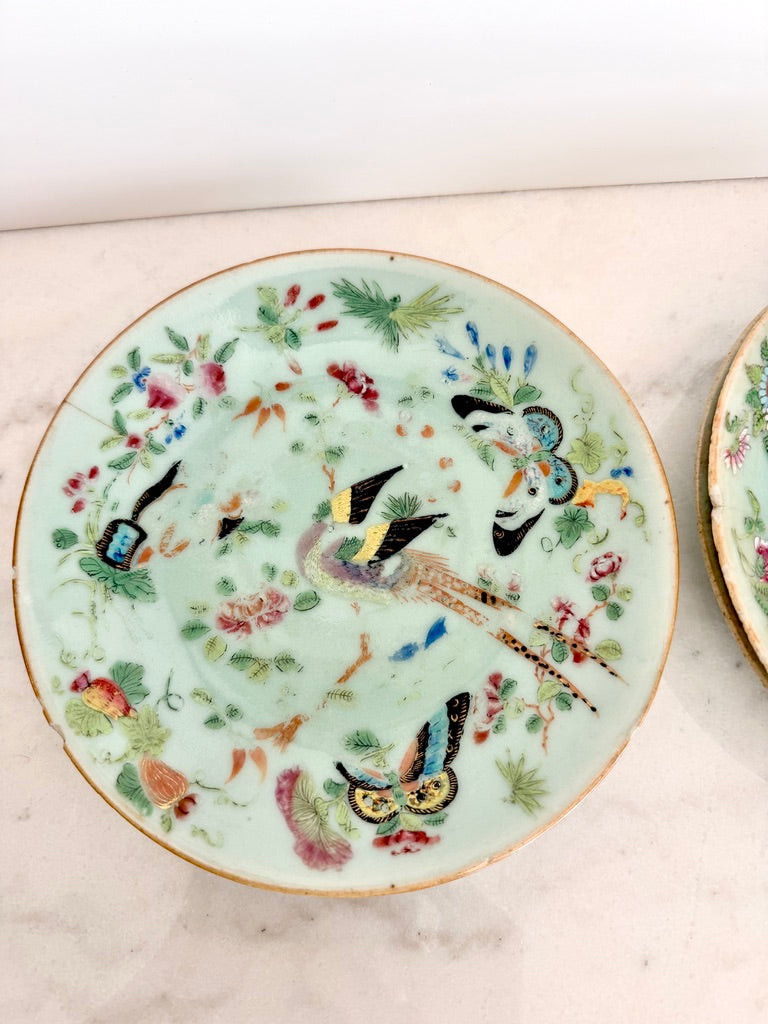 Antique Chinese Export Celadon Famille Rose Plate, Birds & Butterflies, 7.5"