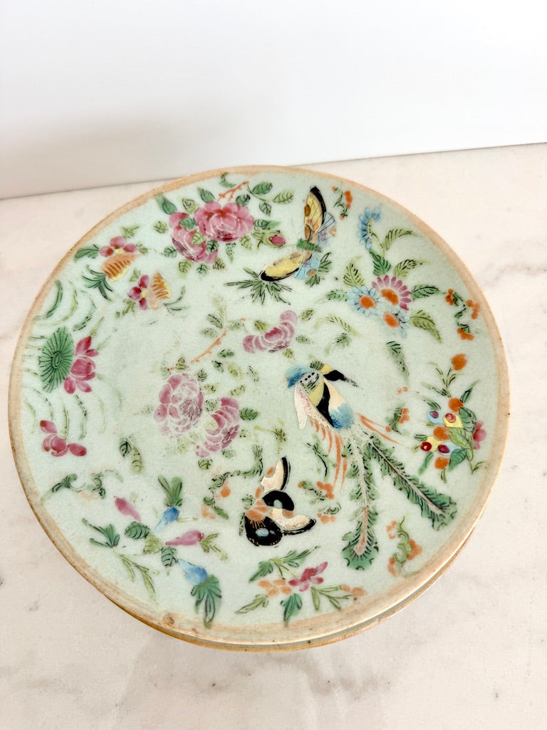 Antique Chinese Export Celadon Famille Rose Plate, Birds & Butterflies, 7.5"