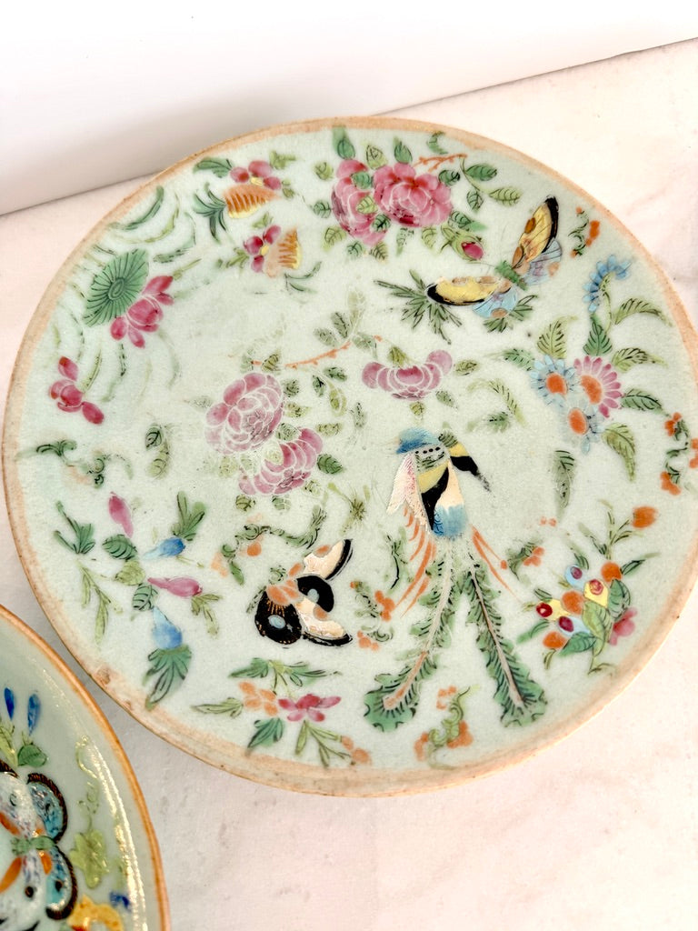 Antique Chinese Export Celadon Famille Rose Plate, Birds & Butterflies, 7.5"