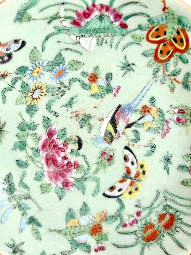 Antique Chinese Canton Famille Rose Celadon Plate 9.5"
