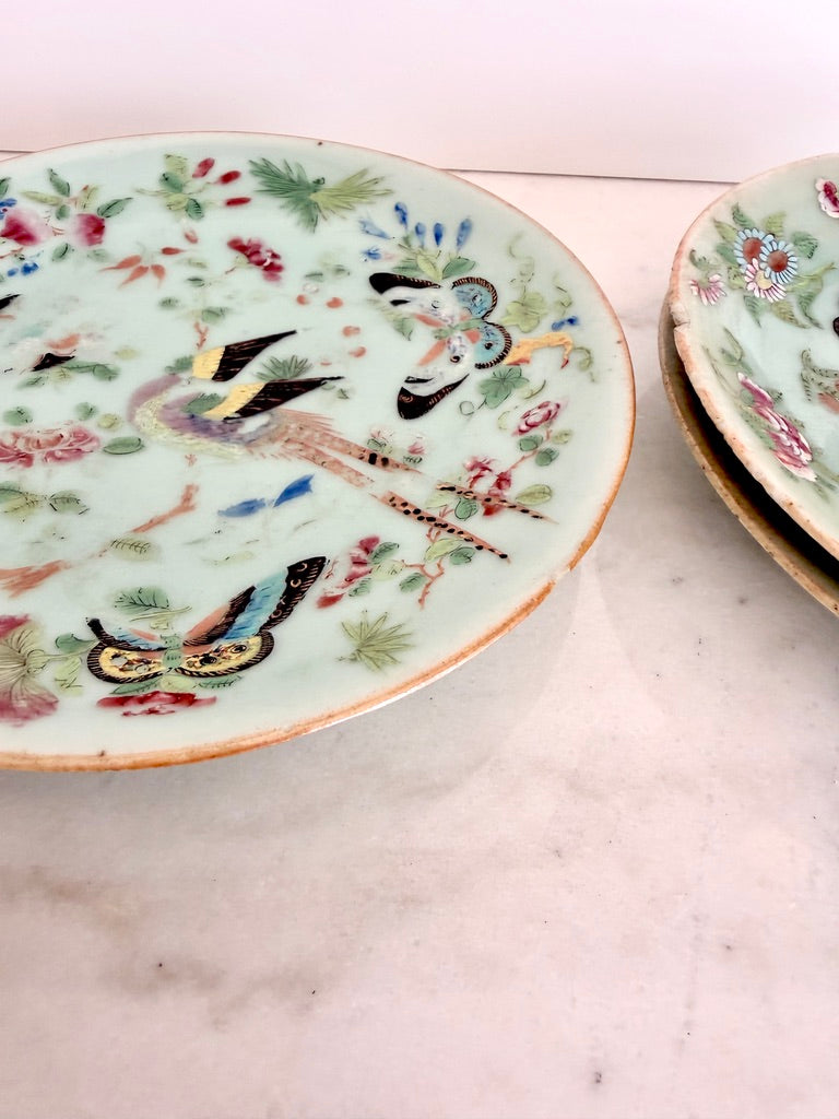 Antique Chinese Export Celadon Famille Rose Plate, Birds & Butterflies, 7.5"