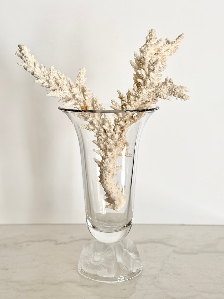 Vintage Gorham Lead Crystal Botanical Gardens Frosted Poppy Pedestal Vase