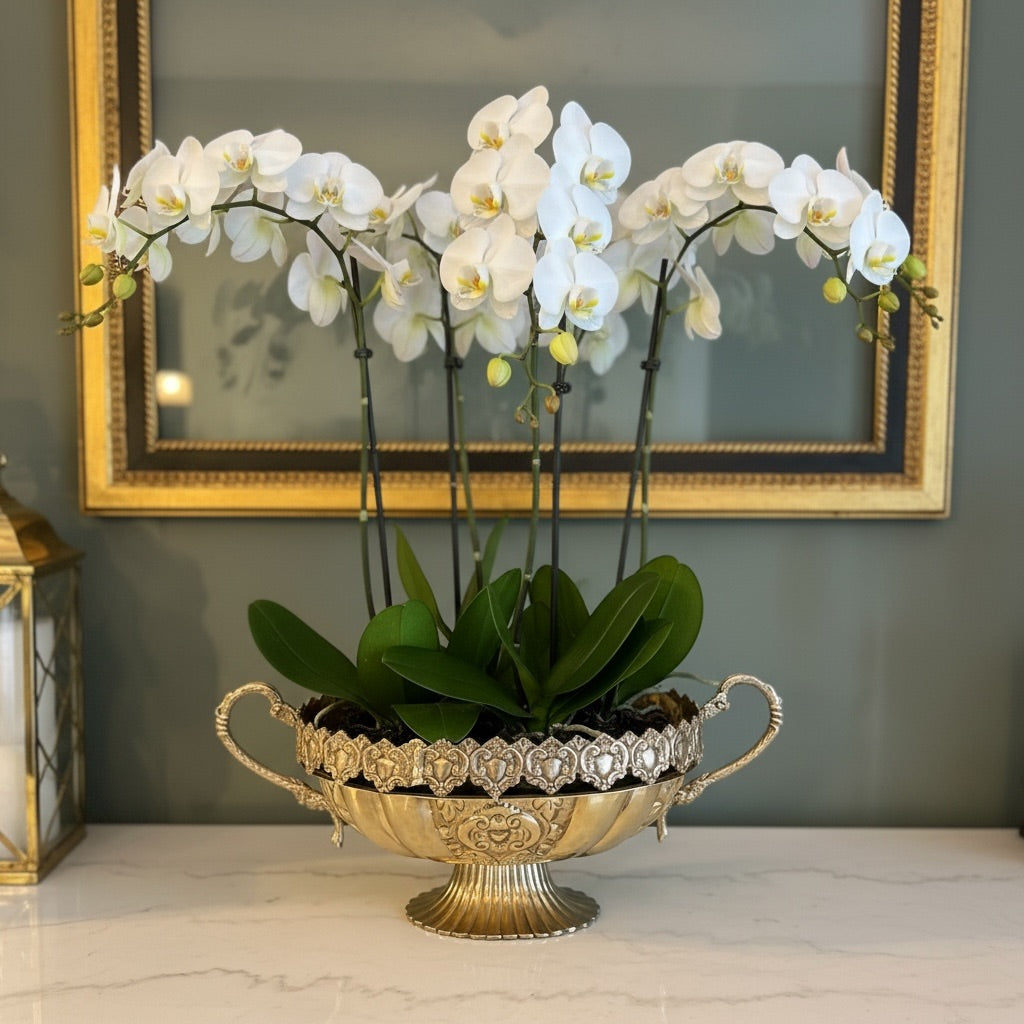 Vintage Brass Grecian Style Pedestal Serving Bowl