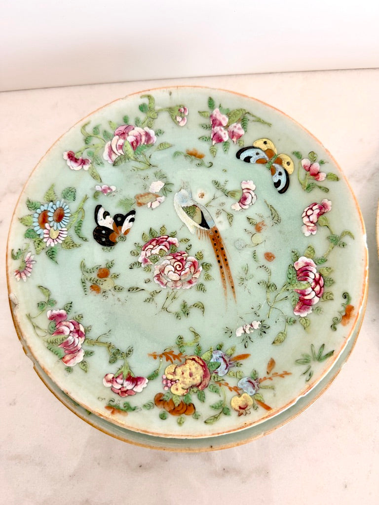 Antique Chinese Export Celadon Famille Rose Plate, Birds & Butterflies, 7.5"