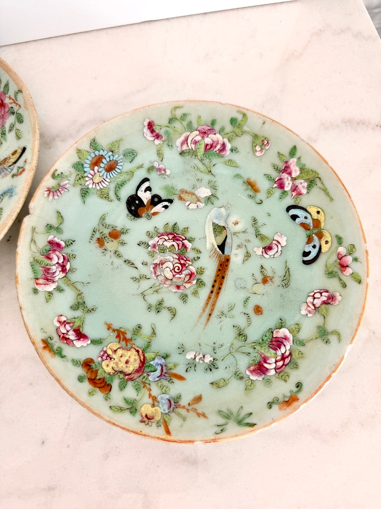 Antique Chinese Export Celadon Famille Rose Plate, Birds & Butterflies, 7.5"