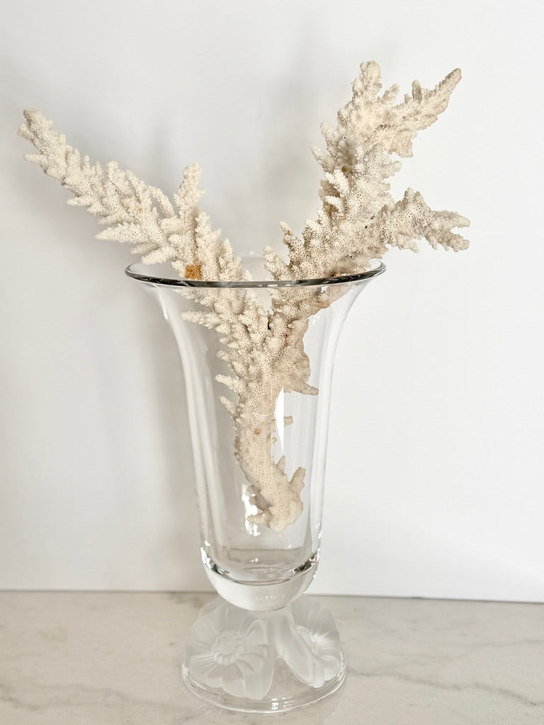 Vintage Gorham Lead Crystal Botanical Gardens Frosted Poppy Pedestal Vase