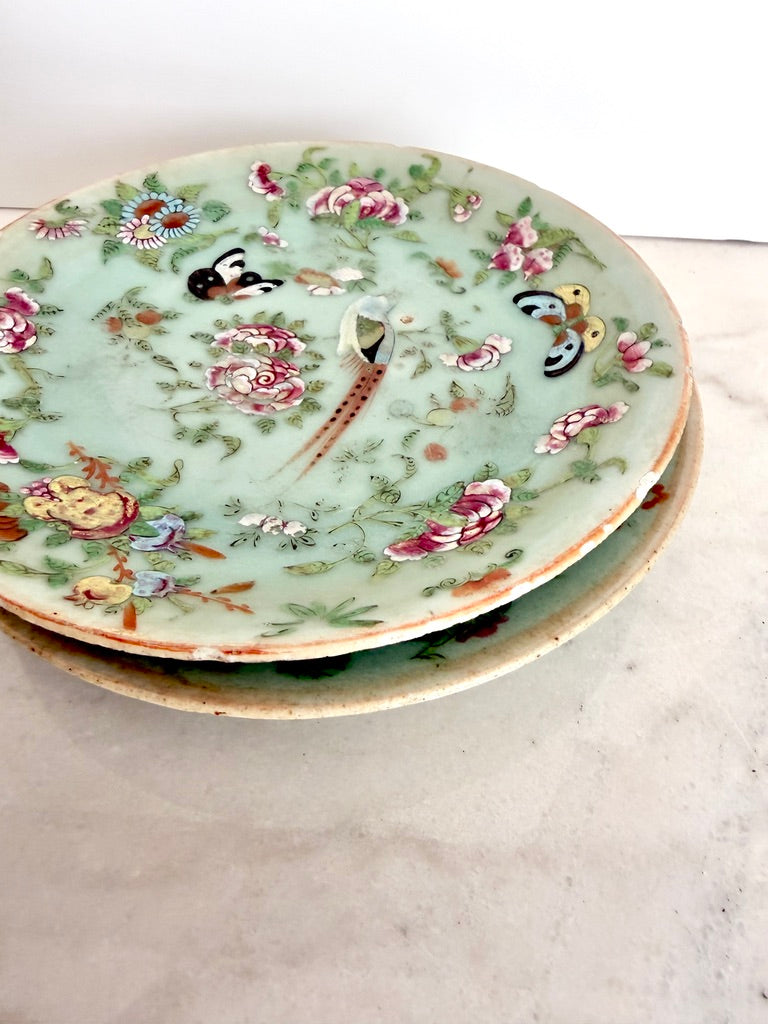 Antique Chinese Export Celadon Famille Rose Plate, Birds & Butterflies, 7.5"
