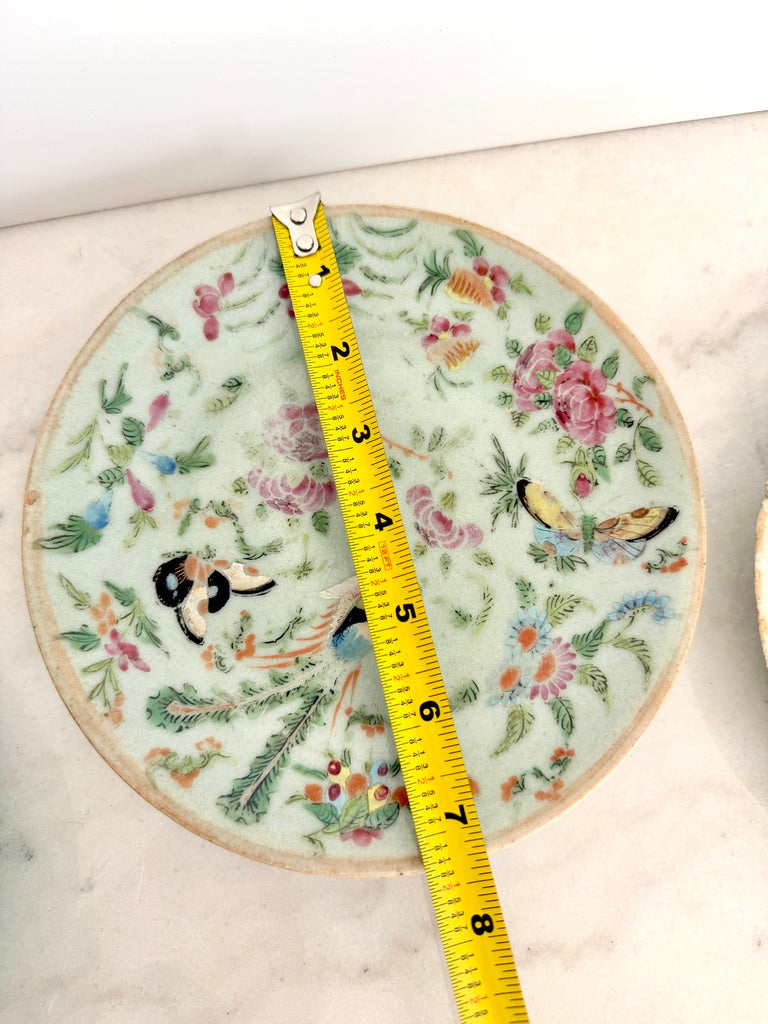 Antique Chinese Export Celadon Famille Rose Plate, Birds & Butterflies, 7.5"