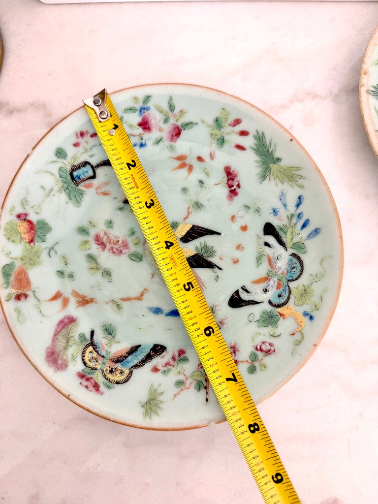 Antique Chinese Export Celadon Famille Rose Plate, Birds & Butterflies, 7.5"