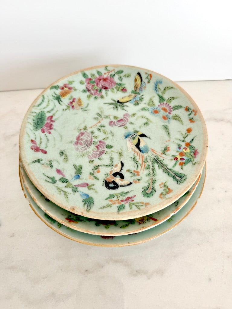 Antique Chinese Export Celadon Famille Rose Plate, Birds & Butterflies, 7.5"